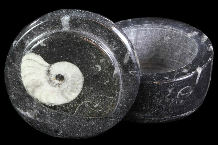 Small Fossil Goniatite Jar (Black) - Stoneware #66593